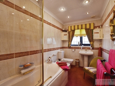 Picture 17